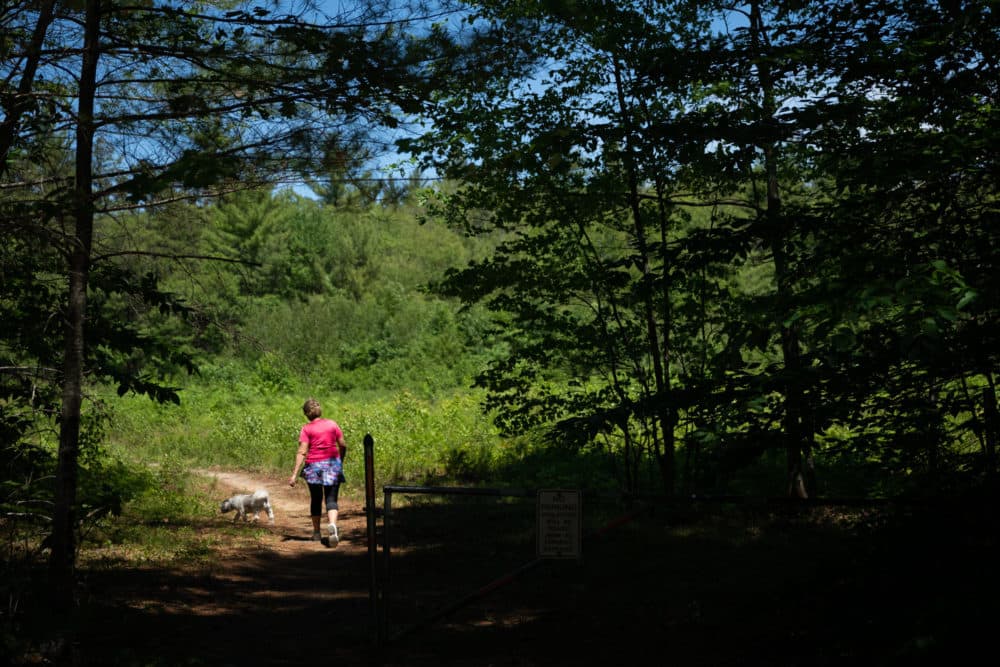 Becky Bishop and her dog Rocky walk to a White Mountain National Forest trail directly behind the condominium complex where they live in Conway, N.H. (Elizabeth Frantz for NPR)