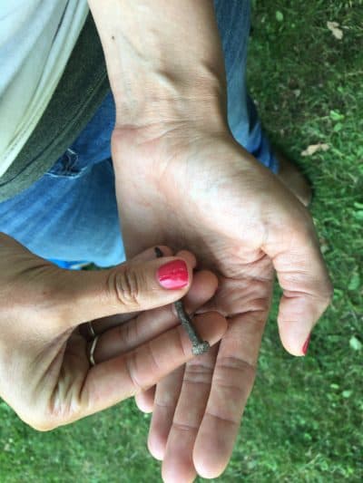 Bonney Hartley holds a square-head nail, probably made by an 18th-century blacksmith, found at an archaeological dig in Stockbridge, Massachusetts. (Nancy Eve Cohen/NEPM)