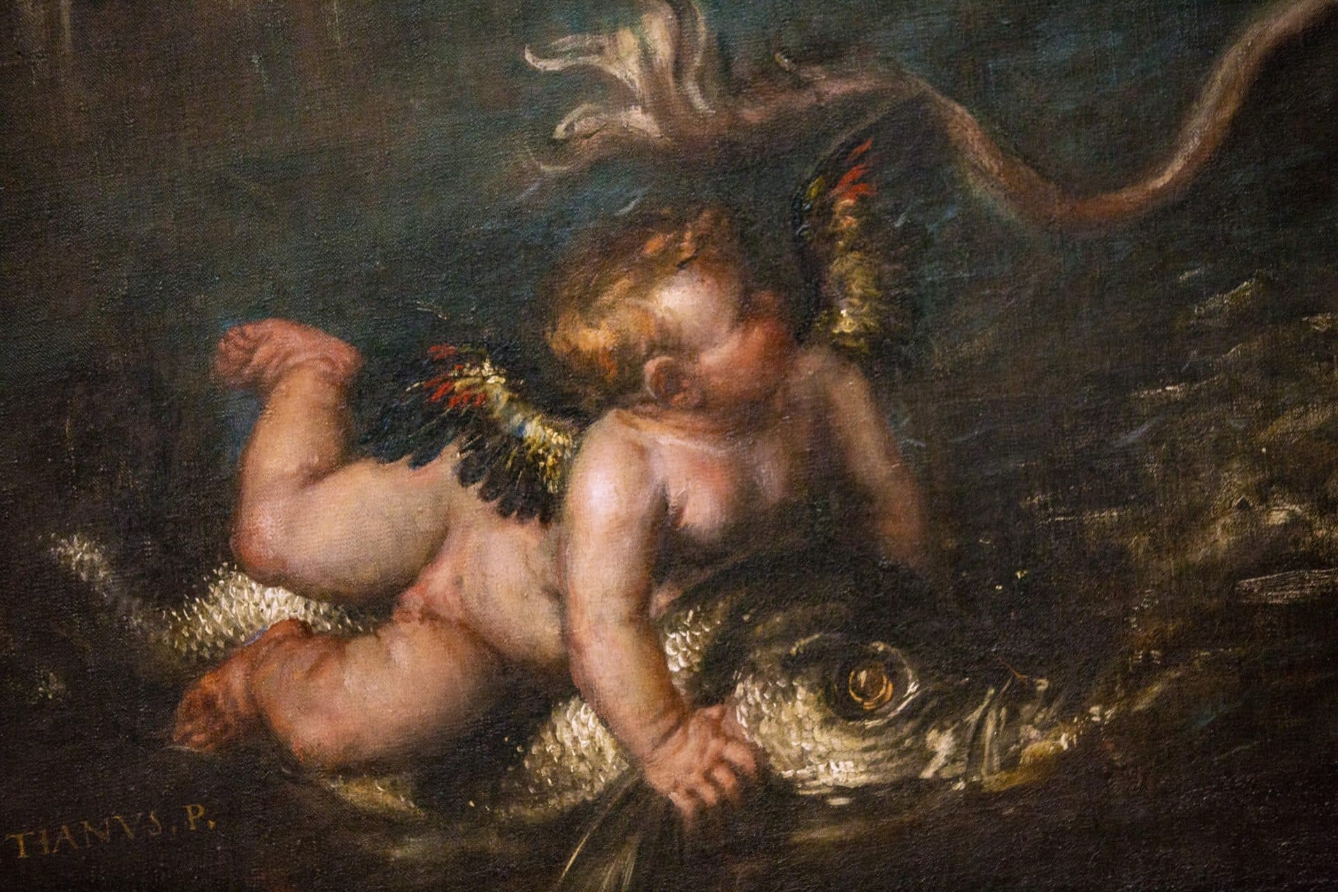 Detail of a putto riding a dolphin in Titian’s “The Rape of Europa.” (Jesse Costa/WBUR)