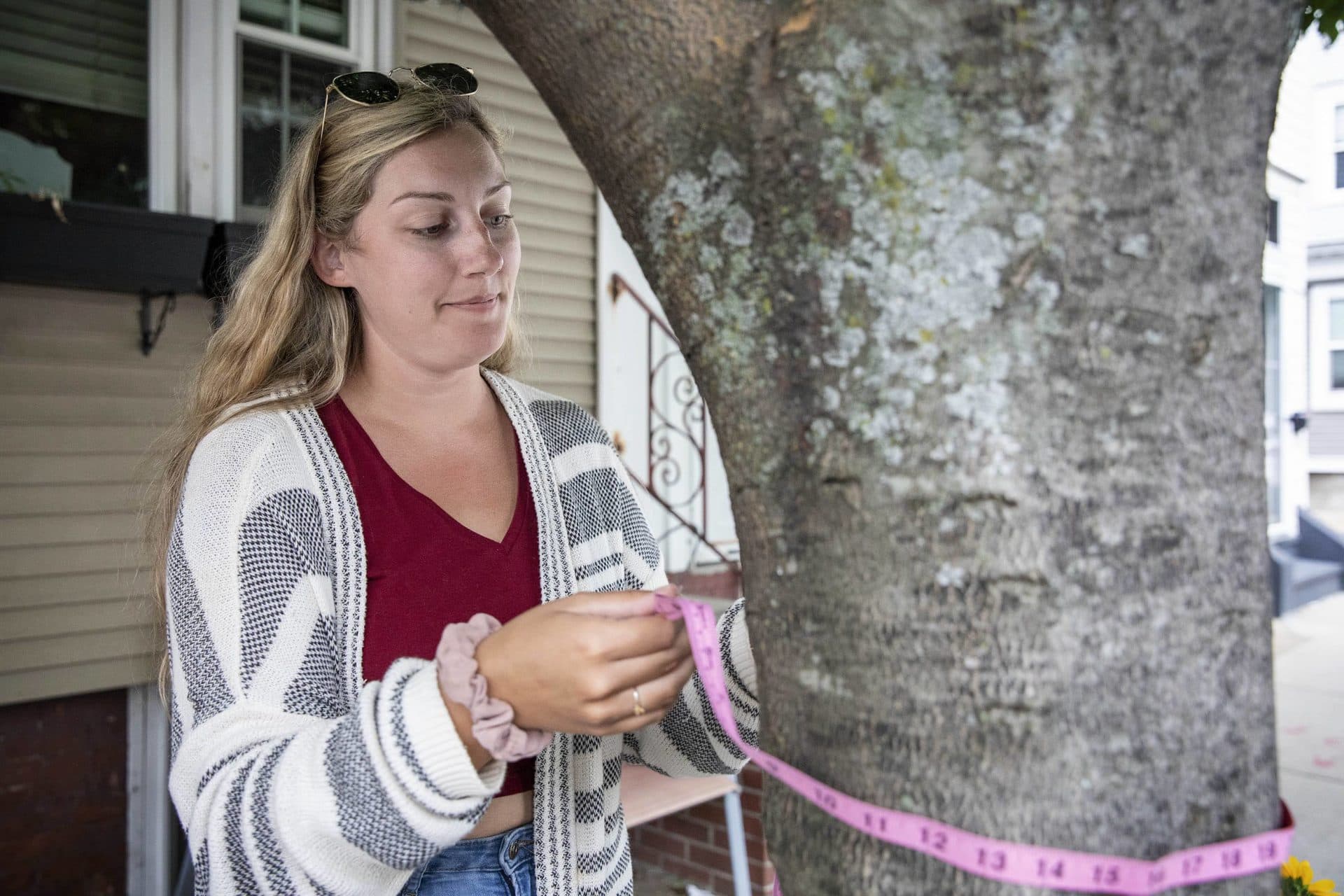 Caitlyn Murphy measures her tree's circumference to use an online tool to calculate its environmental benefits. (Robin Lubbock/WBUR)