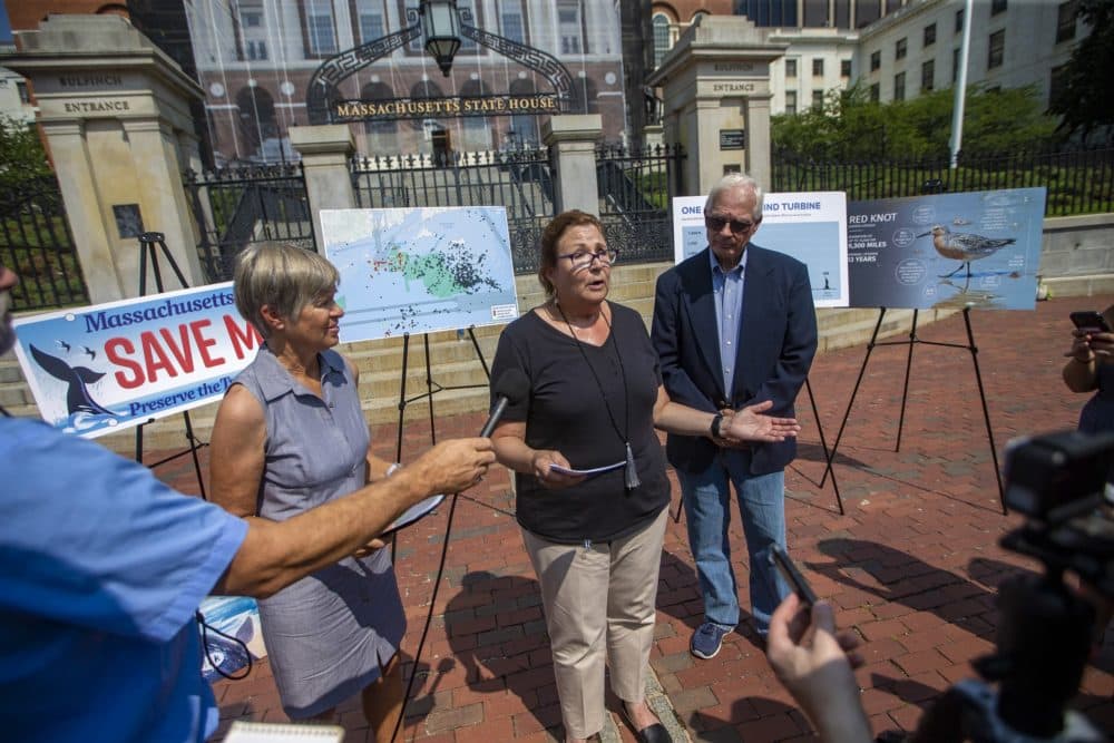 Vallorie Oliver, director of Nantucket Residents Against Turbines, speaks during a press conference in front of the State House Wednesday. (Jesse Costa/WBUR)