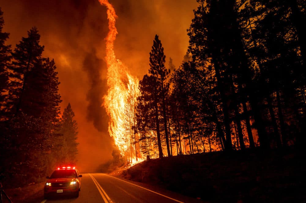 Flames leap from trees as the Dixie Fire jumps Highway 89 north of Greenville in Plumas County, Calif. (Noah Berger/AP Photo)