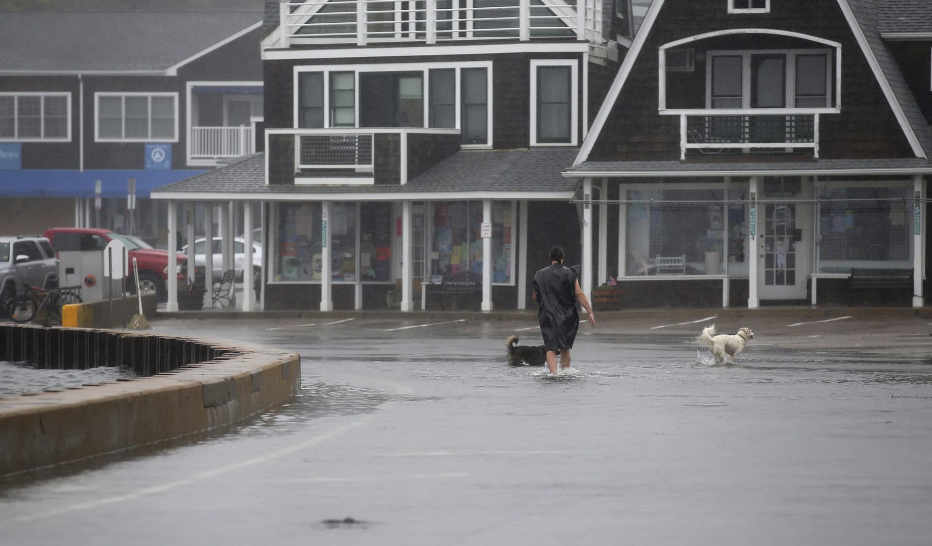 An unidentified man walks his dogs through a flooded parking lot in the Watch Hill section of Westerly, R.I., after Tropical Storm Henri made landfall, Aug. 22, 2021. (Stew Milne/AP)