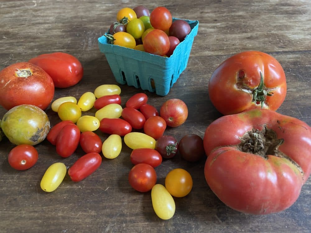 An assortment of tomatoes (Kathy Gunst)