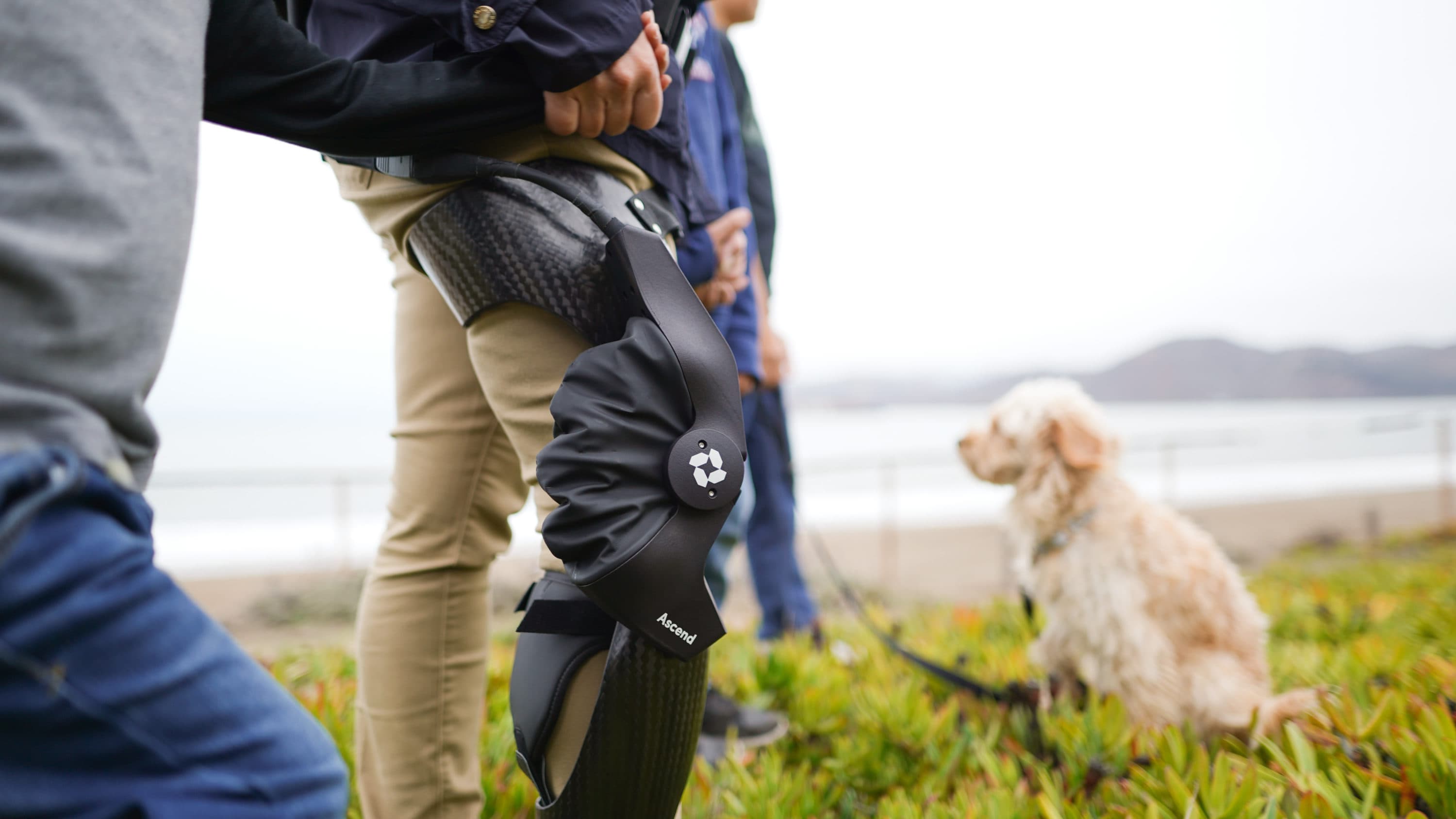 Roam Robotics' Ascend smart knee brace helps relieve knee pain and increase mobility for people with osteoarthritis. (Courtesy of Roam Robotics)