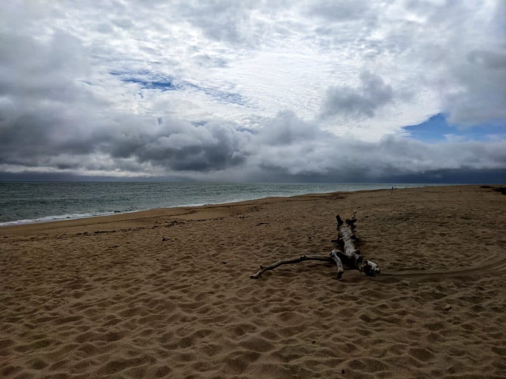 Wasque Beach on Chappaquiddick Island, Martha's Vineyard. Courtesy The Trustees of Reservations