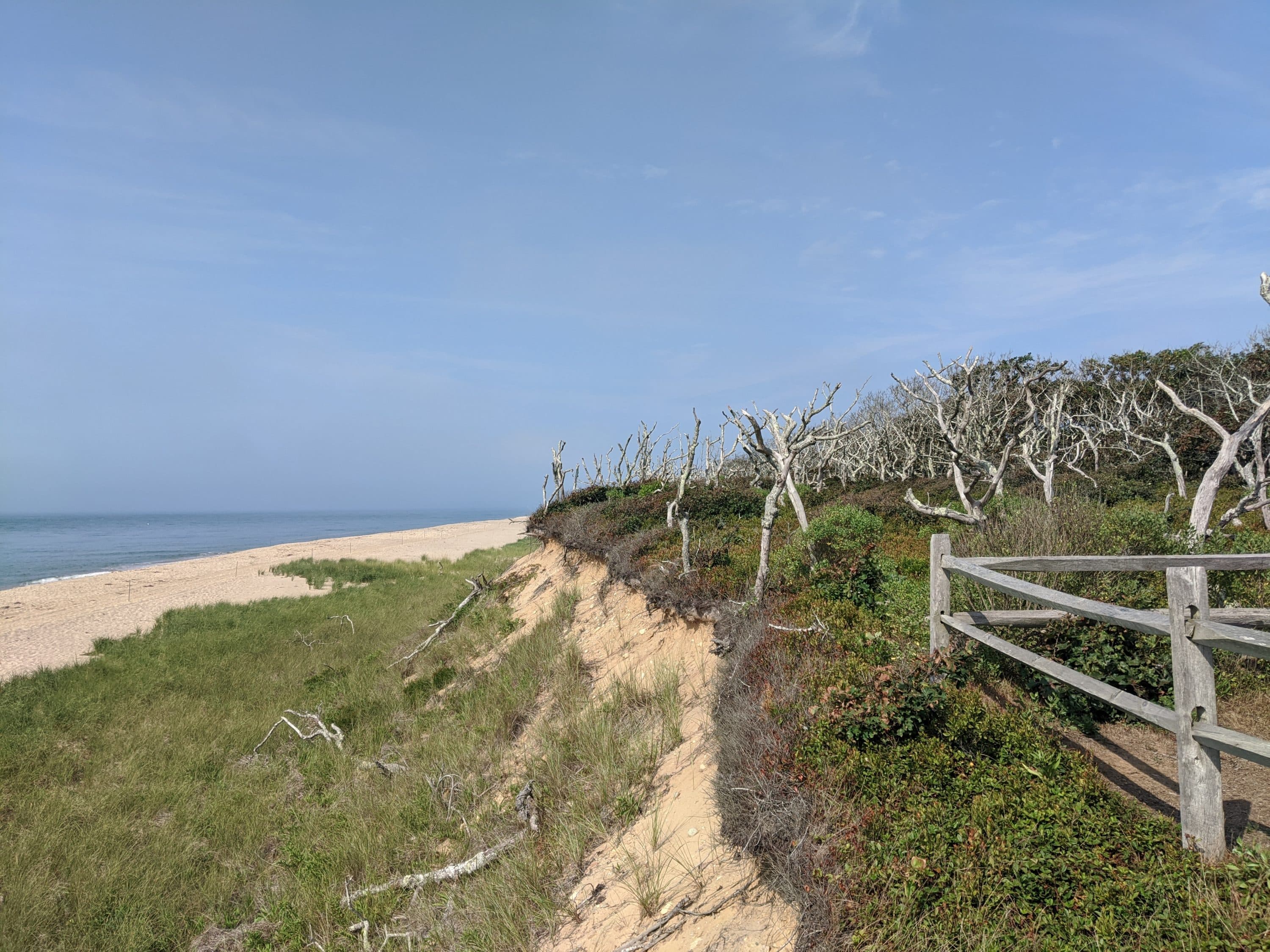 Erosion at Wasque Beach in August, 2020. (Courtesy The Trustees of Reservations)
