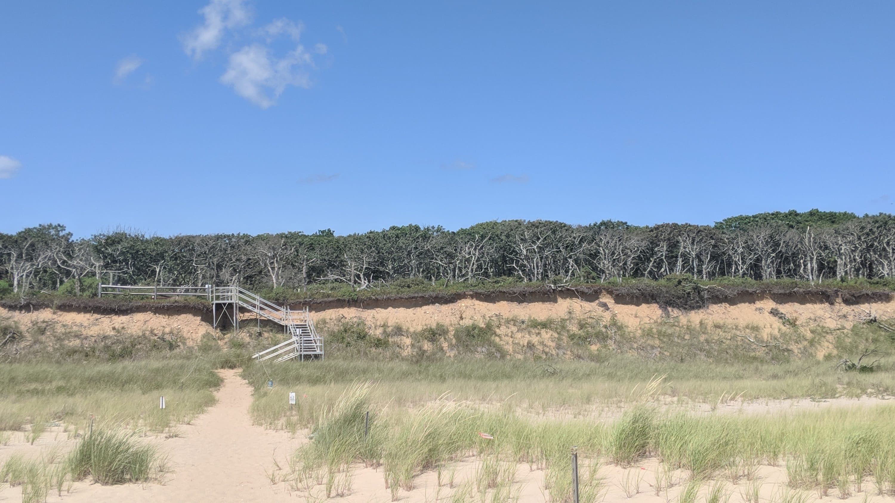 The Trustees built a moveable staircase at Wasque Beach, which can be repositioned when needed due to erosion. Courtesy Trustees of Reservations