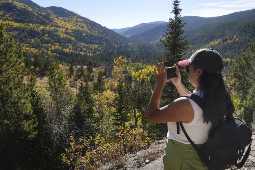 Vanessa Kei photographs aspens, Sunday, Sept. 26, 2021, in Eldora, Colo. (Brittany Peterson/AP)