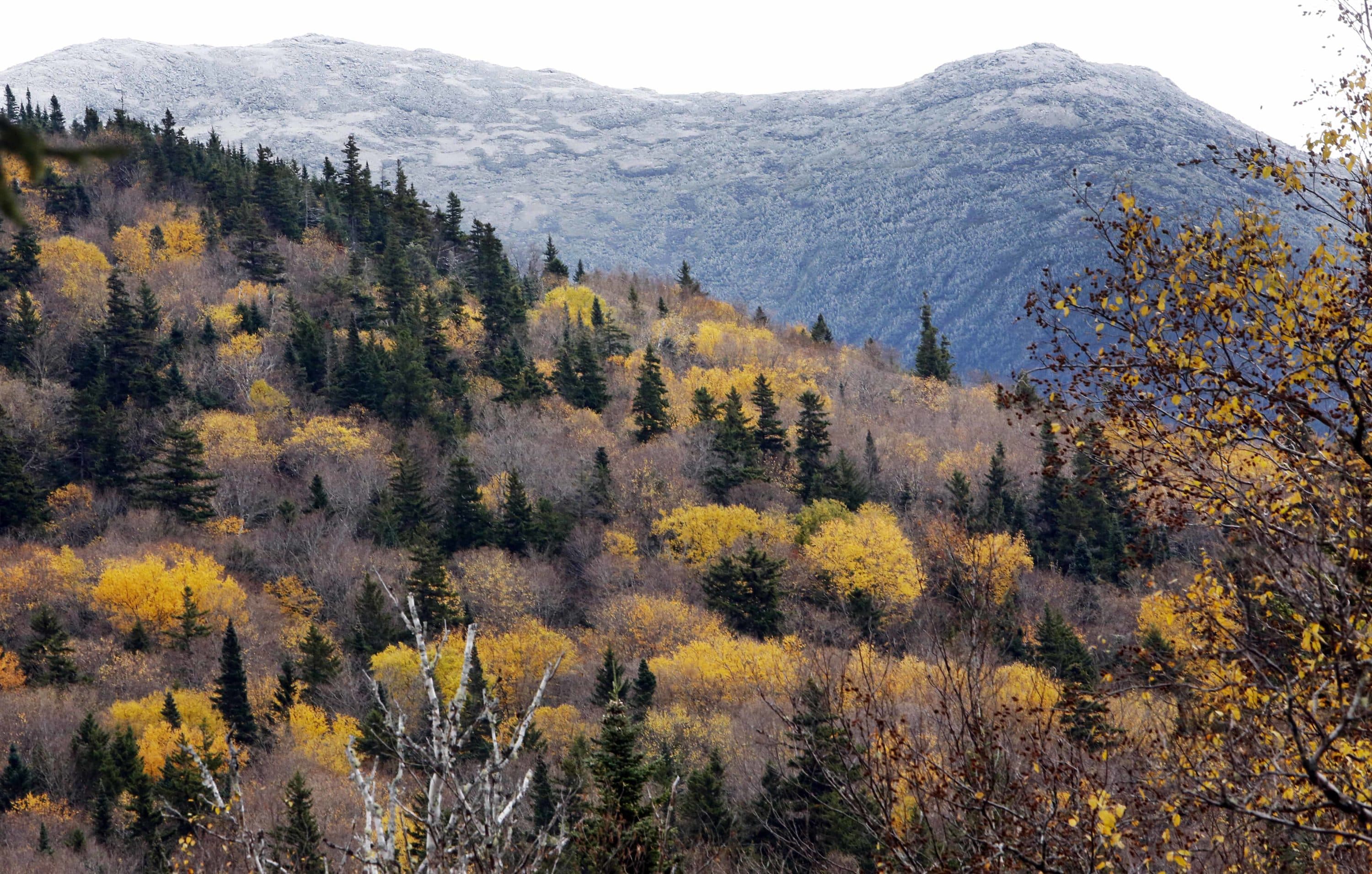 In this Friday, Oct. 10, 2014 file photo, snow dusts the White Mountains Presidential Range as leaves change colors, seen from Jefferson, N.H. (Jim Cole/AP)
