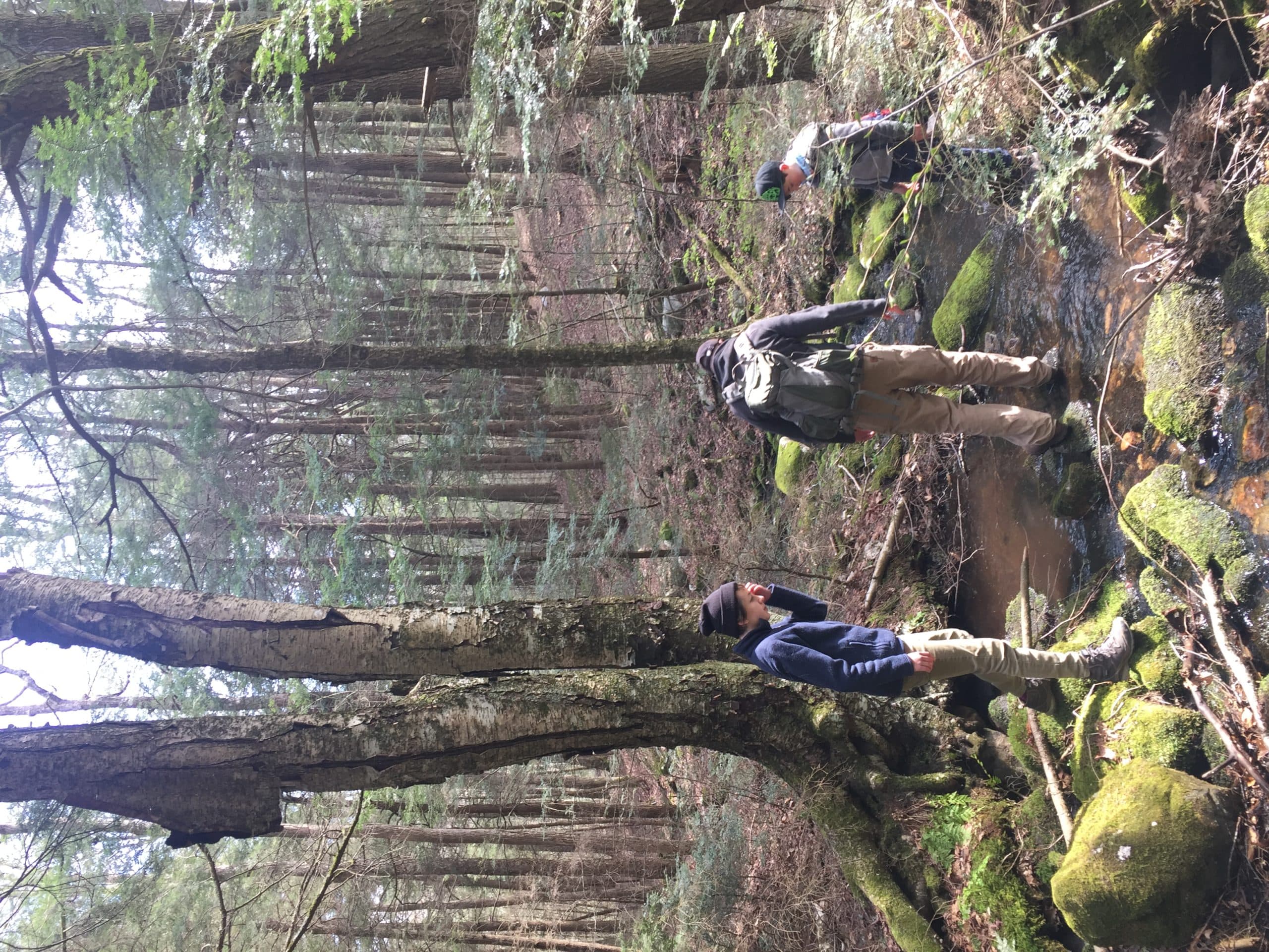 Sandy Brook in the Bobryk forest. (Courtesy Markelle Smith/The Nature Conservancy)