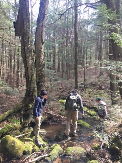 Sandy Brook in the Bobryk forest. (Courtesy Markelle Smith/The Nature Conservancy)