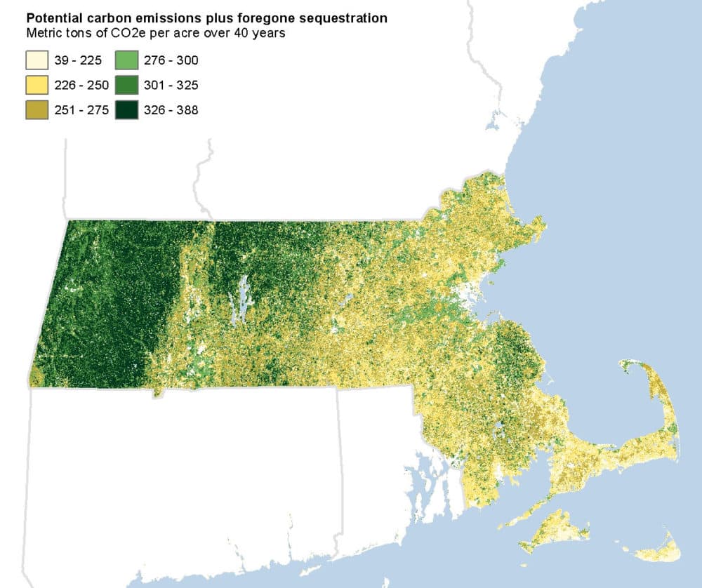 Map of &quot;carbon consequences.&quot; If any given point on the map is deforested, the map shows the net carbon dioxide emission equivalents over the next 40 years. (Courtesy The Nature Conservancy)