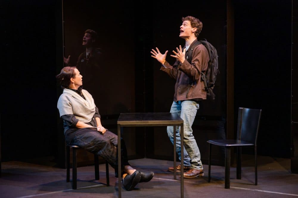 Jennifer Rohn and Nathan Malin in Adam Rapp's &quot;The Sound Inside&quot; at SpeakEasy Stage. (Courtesy Nile Scott Studios)