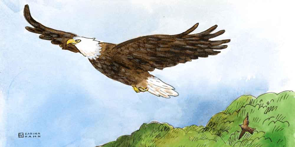 (Sabina Hahn for WBUR)