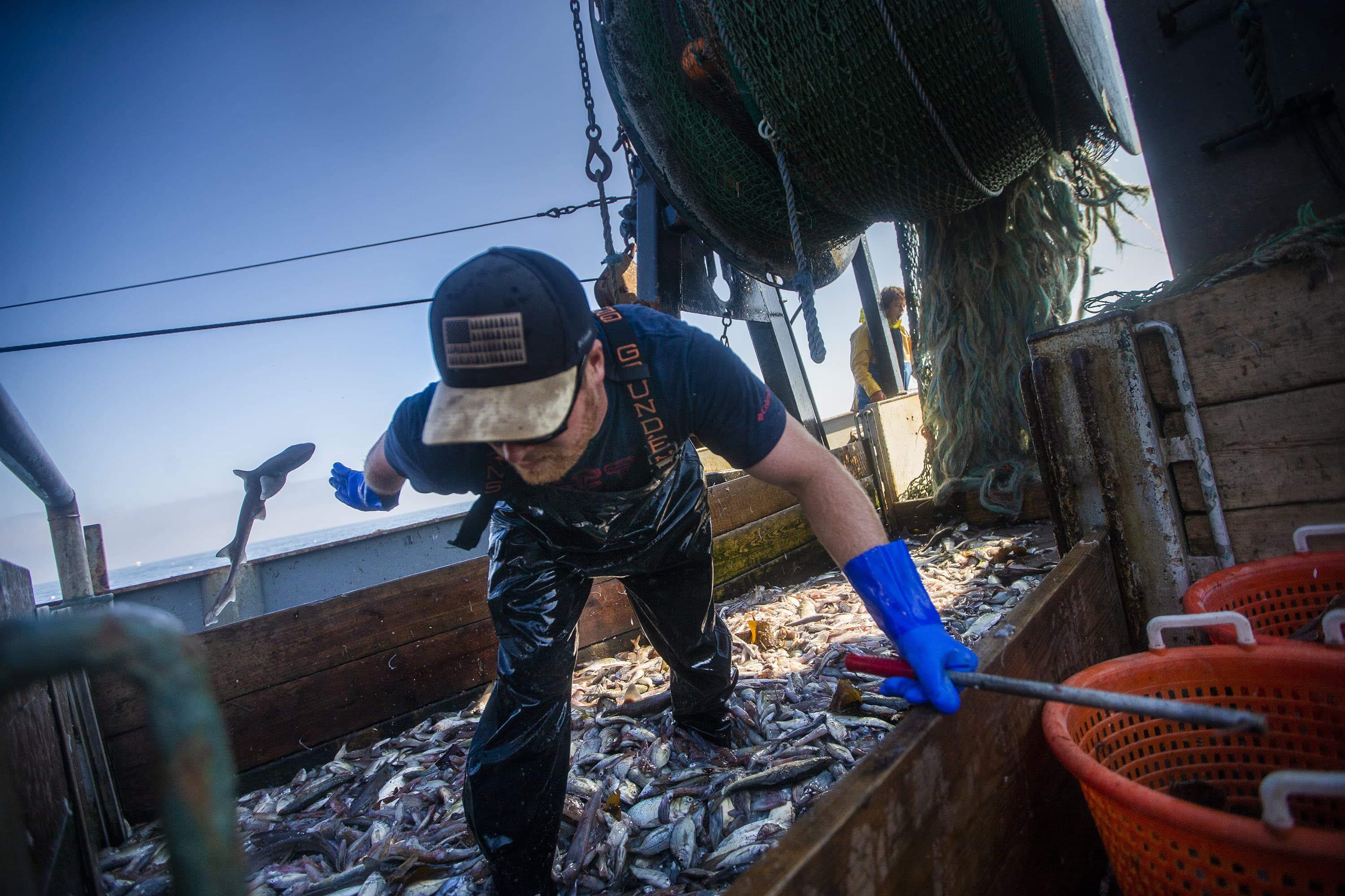As turbines rise, small-scale fishermen have the most to lose