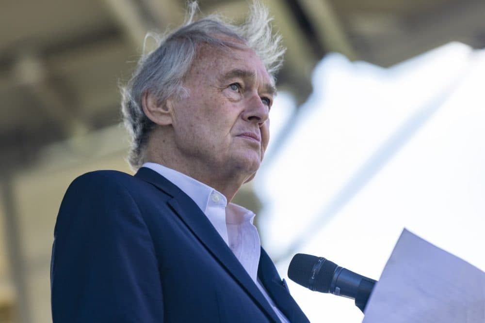 U.S. Sen. Edward Markey. (Jesse Costa/WBUR)