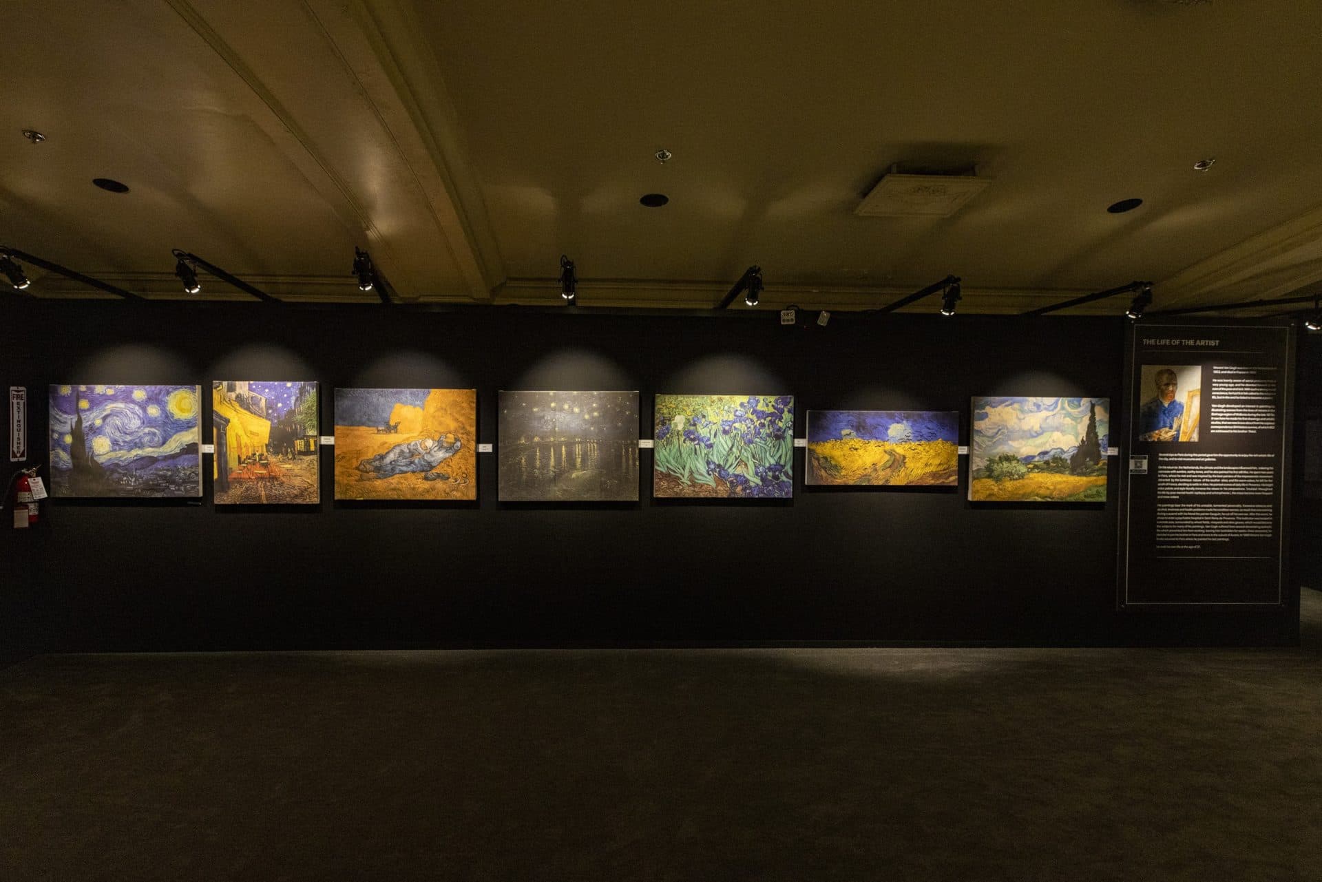 A long wall of Van Gogh's masterpiece on display. (Jesse Costa/WBUR)