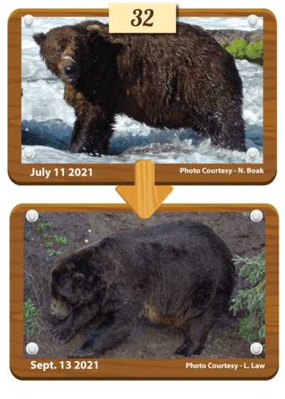 Chunk before and after. (Photos by N. Boak and L. Law)