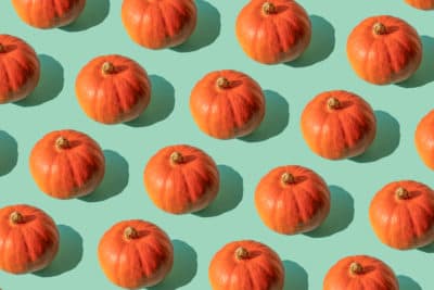 Pumpkin recipes to spice up spooky season 