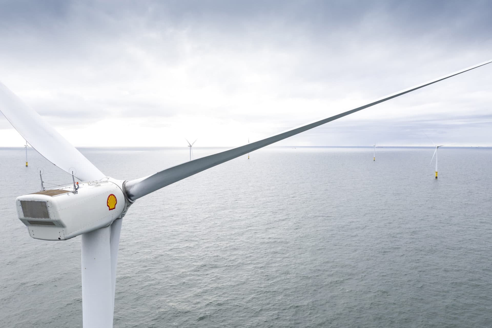 A turbine in a Dutch wind farm emblazoned with the Shell corporate logo. (Courtesy Royal Dutch Shell)