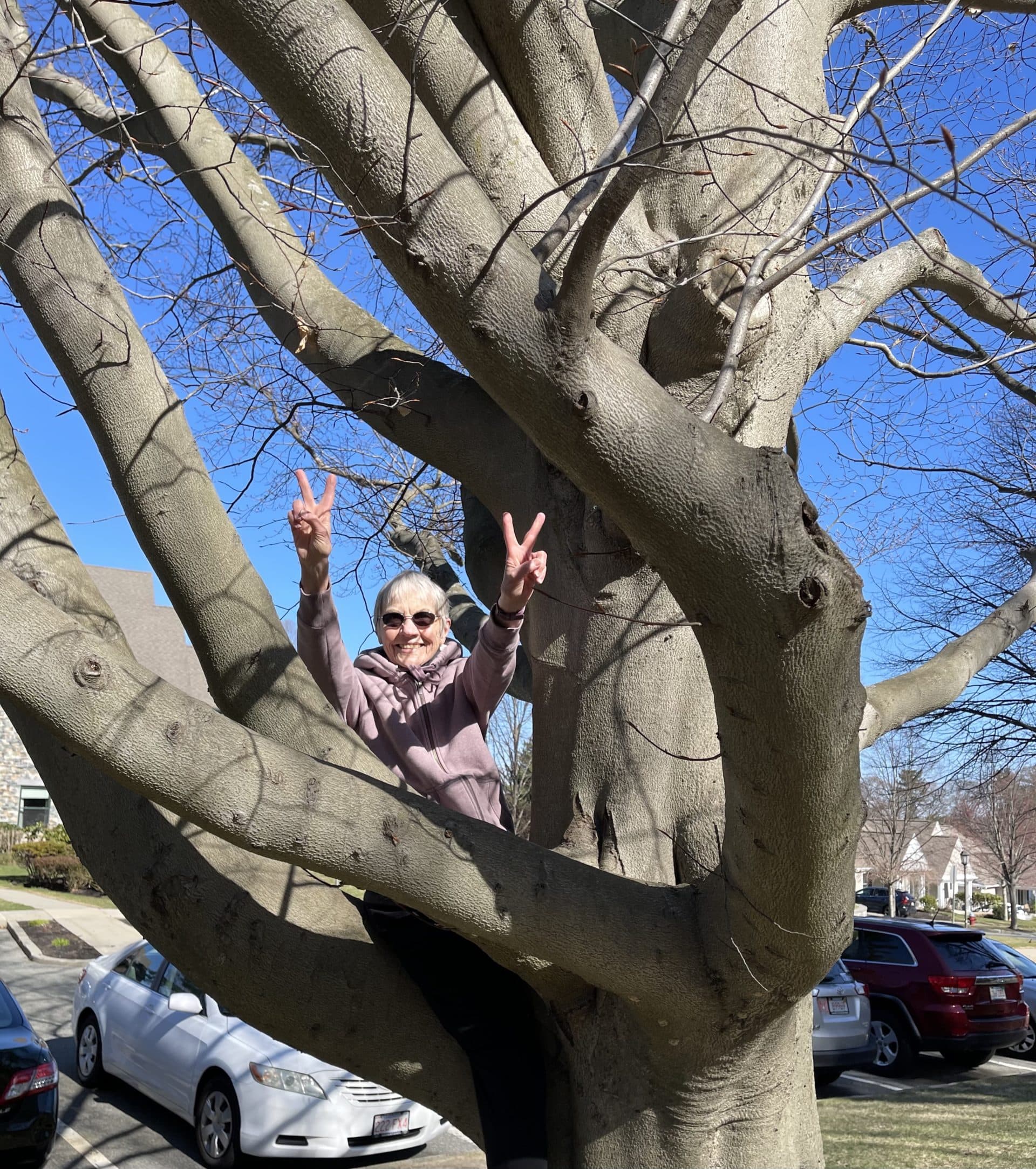 Sandy Kirchner, 81, climbed up a tree outside her Milton retirement home to signal that spring had arrived. (Courtesy of Sandy Kirchner)