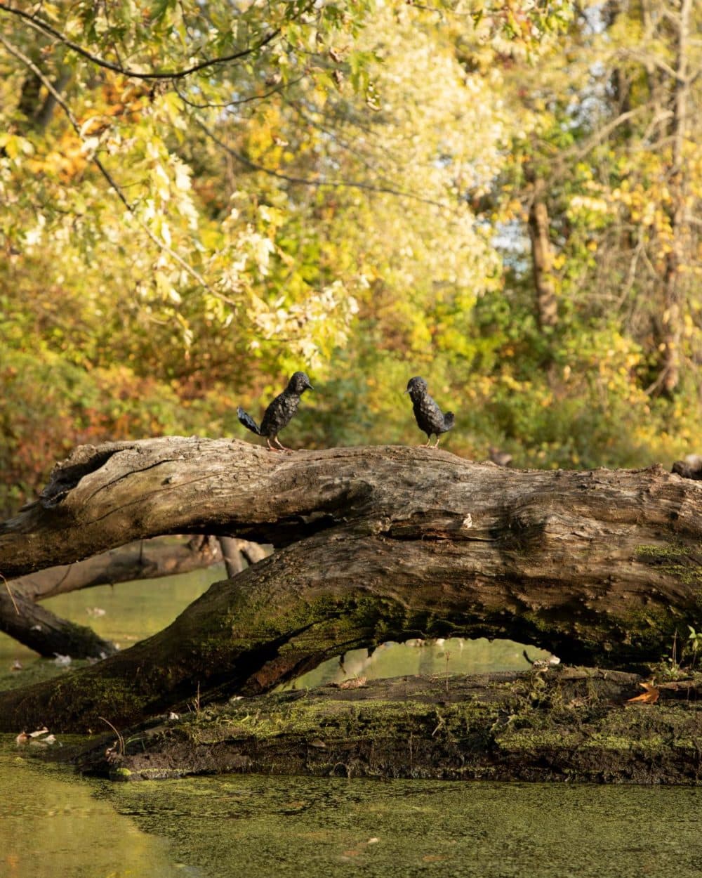 This sculpture by Elizabeth Jaeger made from ceramic and copper, was part of an October 2021 art show in a cove on the Connecticut River in Northampton, Massachusetts. (Credit Alex Rotondo/alexanderjrotondo.com)