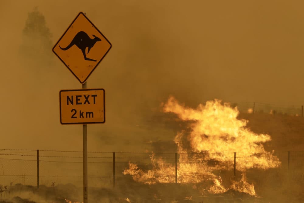 Feb. 1, 2020: Fire burns in the grass near Bumbalong, south of the Australian capital, Canberra. (Rick Rycroft/AP/File)