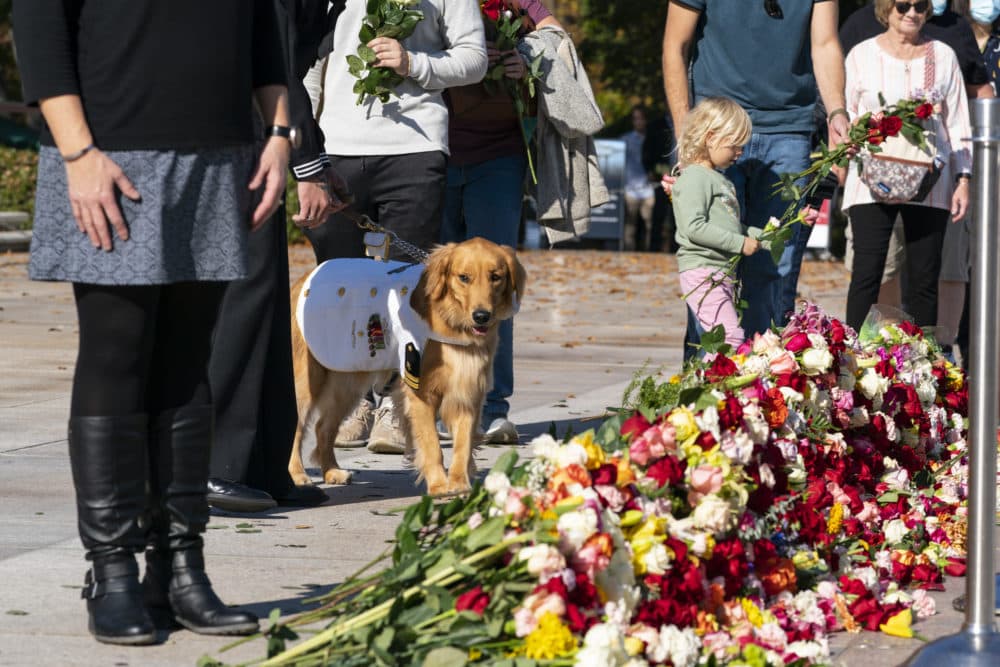 Lt. Cleo the service dog and U.S. Navy Petty Officer 2nd Class Andrew Armstrong walk as they place a flower during a centennial commemoration event at the Tomb of the Unknown Soldier, in Arlington National Cemetery, Wednesday, Nov. 10, 2021, in Arlington, Va. (Alex Brandon/AP/Pool)