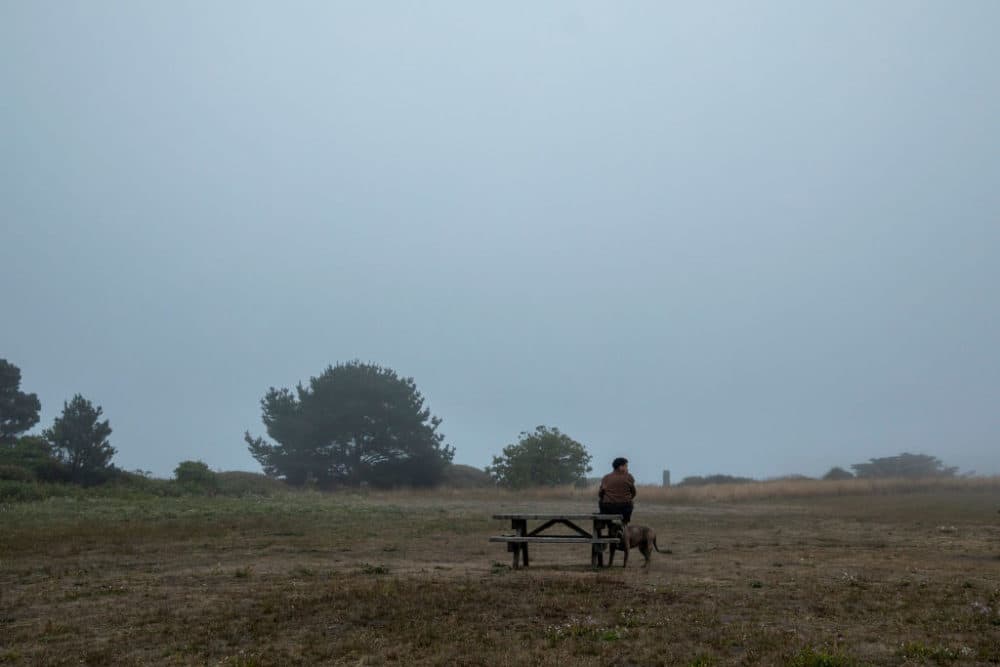 A man and his dog take in the fresh air and fog, in a clearing along Main Street, in the seaside town of Mendocino, CA, Monday evening, Aug. 9, 2021. The towns of Mendocino and Fort Bragg are feeling the effects of drought, in a region surrounded by water. (Jay L. Clendenin/Los Angeles Times via Getty Images)