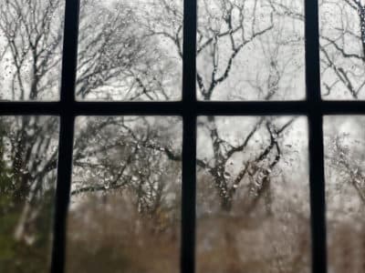 Searching for light in this season of ‘meh’