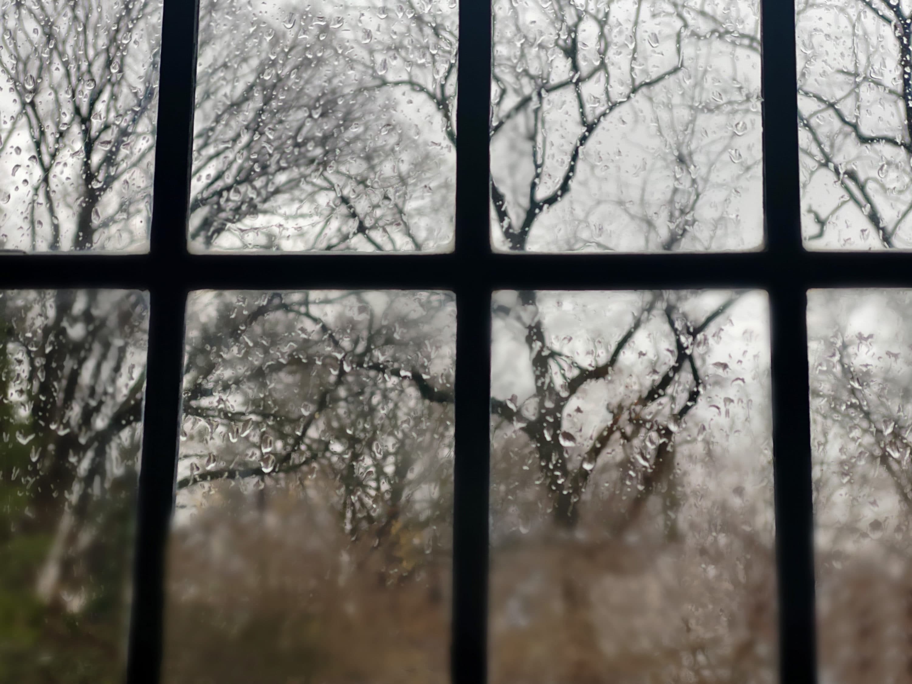 Searching for light in this season of ‘meh’