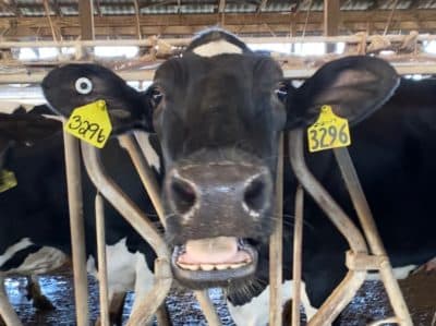 For one Pennsylvania farmer, cutting methane emissions helps business
