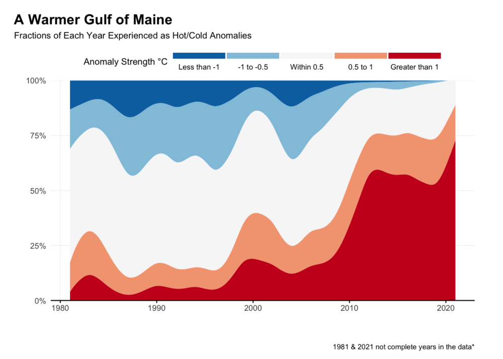 Hot and cold water temperature anomalies in the Gulf of Maine over four decades. Courtesy Gulf of Maine Research Institute