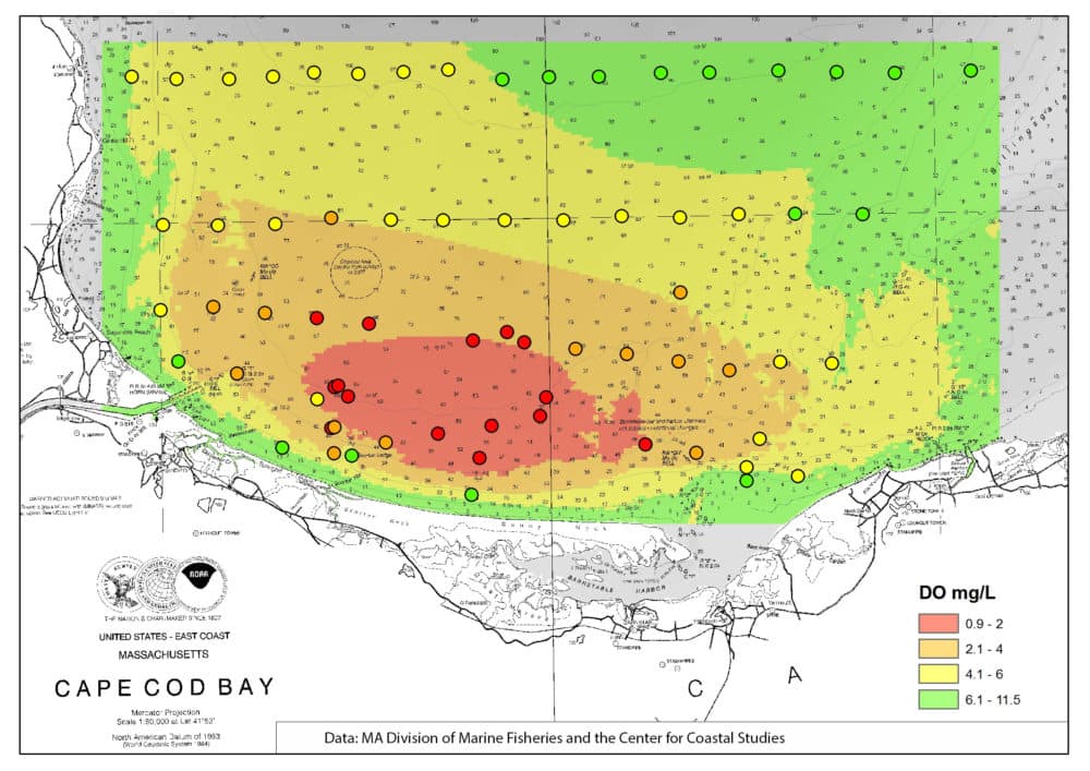 Water quality samples (cycles) taken by the Division of Marine Fisheries and the Center for Coastal Studies in 2019. The red area indicates a &quot;severely hypoxic&quot; zone. Courtesy Tracy Pugh, MA Division of Marine Fisheries