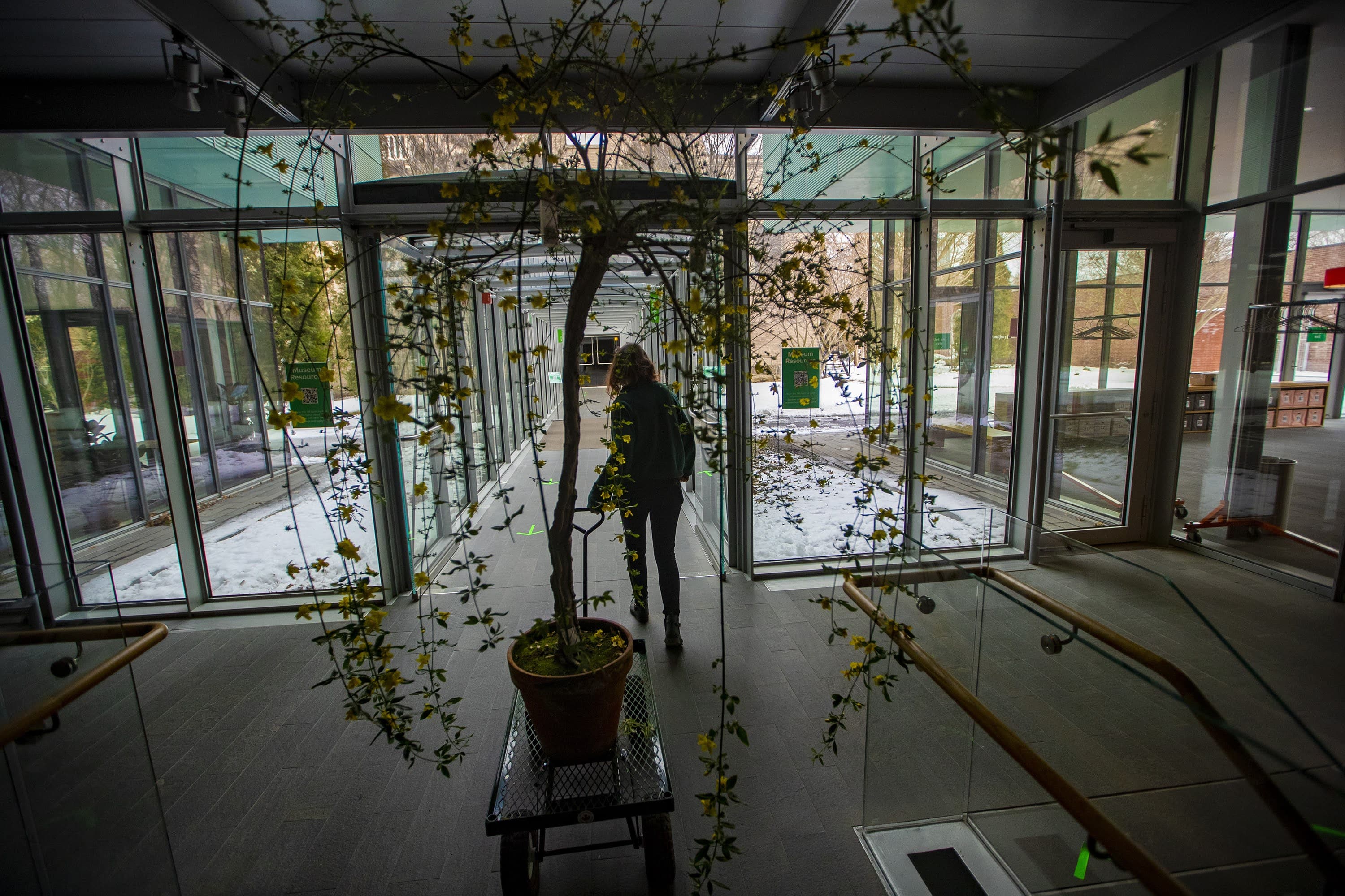 (Jesse Costa/WBUR)