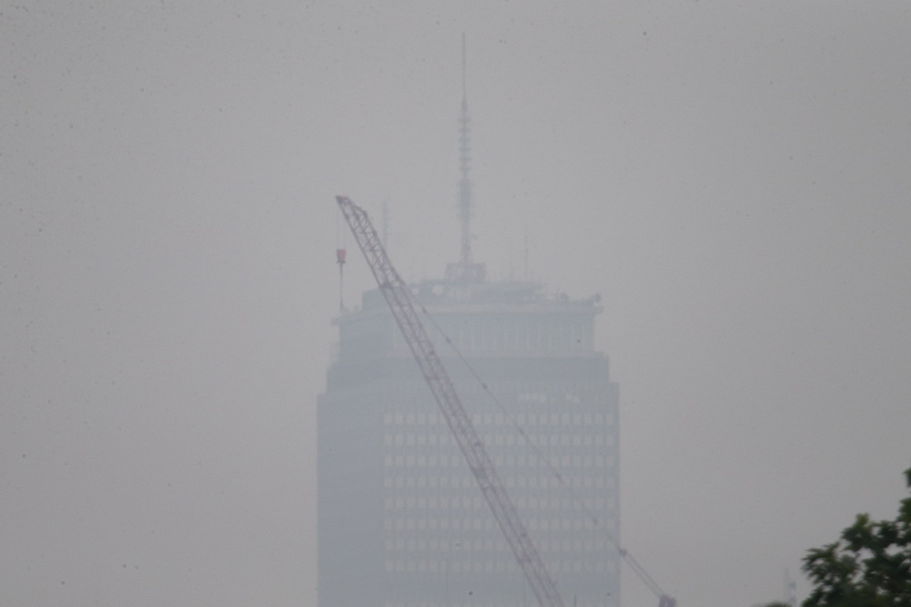 (Jesse Costa/WBUR)