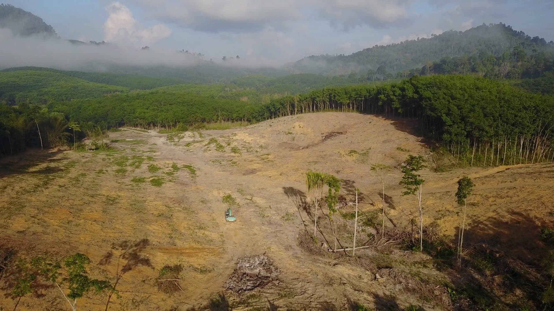 Deforestation pictured in a still from &quot;Earth Emergency.&quot; (Courtesy PBS)