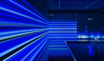 5 things to do this weekend, including a holiday stroll and 'The Great Animal Orchestra' at PEM