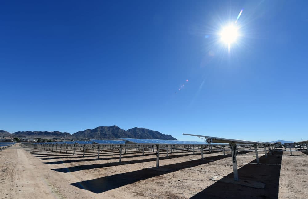 Rows of solar panels operating in Las Vegas, Nevada. (Ethan Miller/Getty Images)