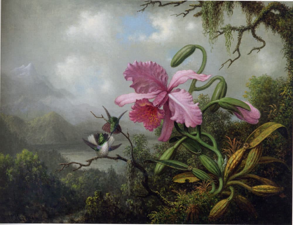 Martin Johnson Heade, &quot;Orchid and Hummingbirds Near a Mountain Lake&quot; (c. 1875–90). (Courtesy Boston College)
