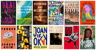 12 books with New England ties to read this winter