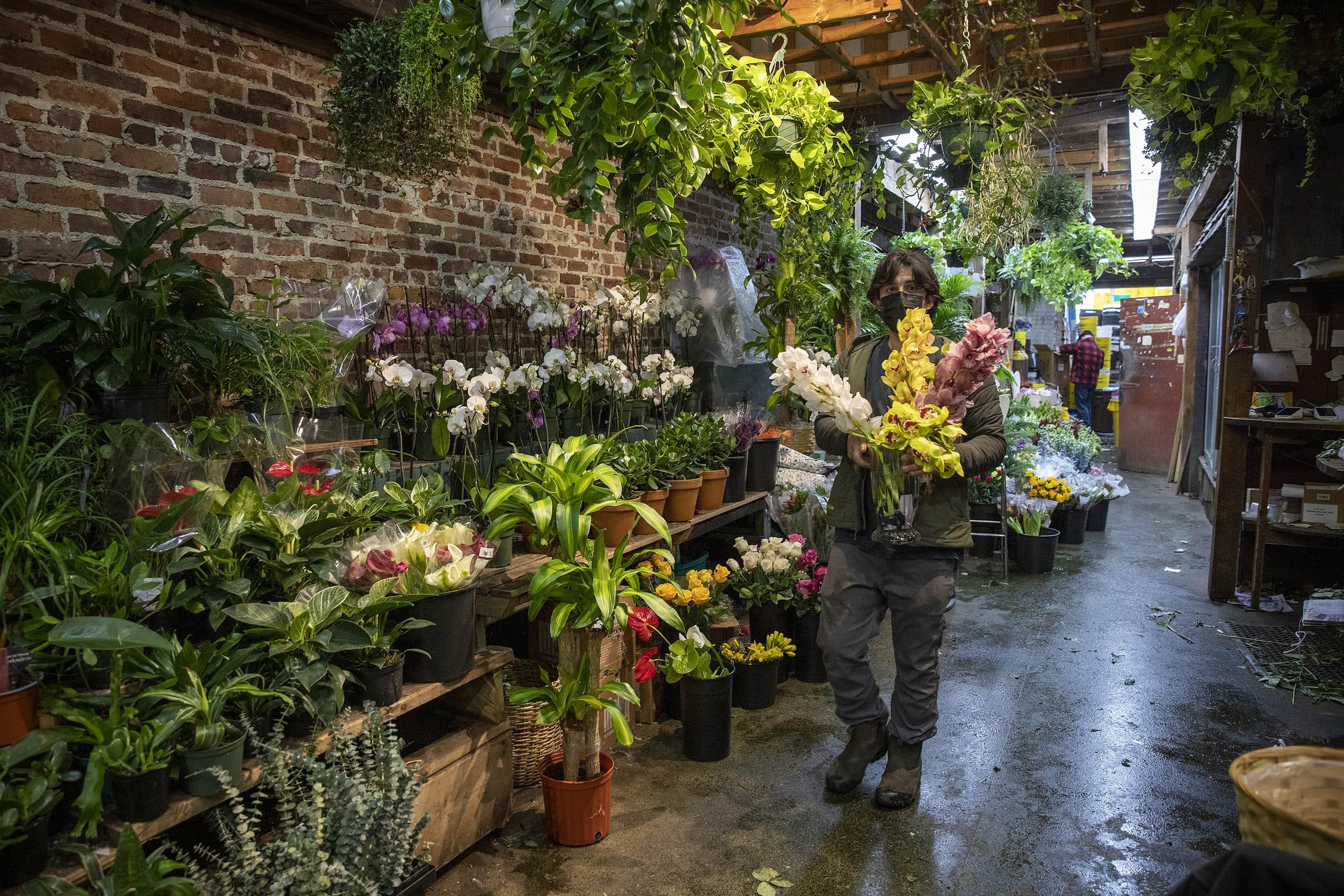 Brattle Square Florist will remain open, returning to ownership under the original family. (Robin Lubbock/WBUR)