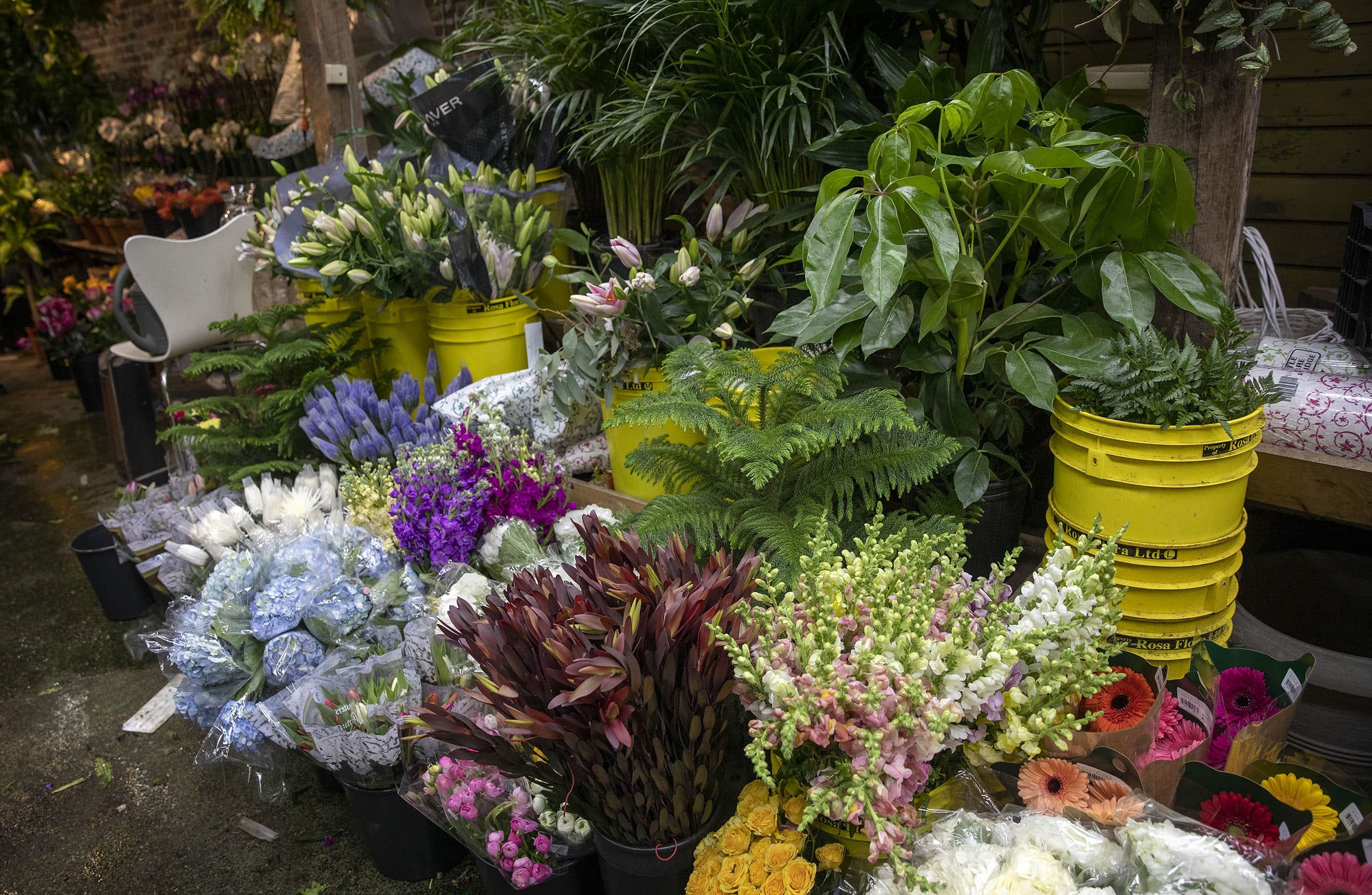 Flowers on display at Brattle Square Florist. (Robin Lubbock/WBUR)