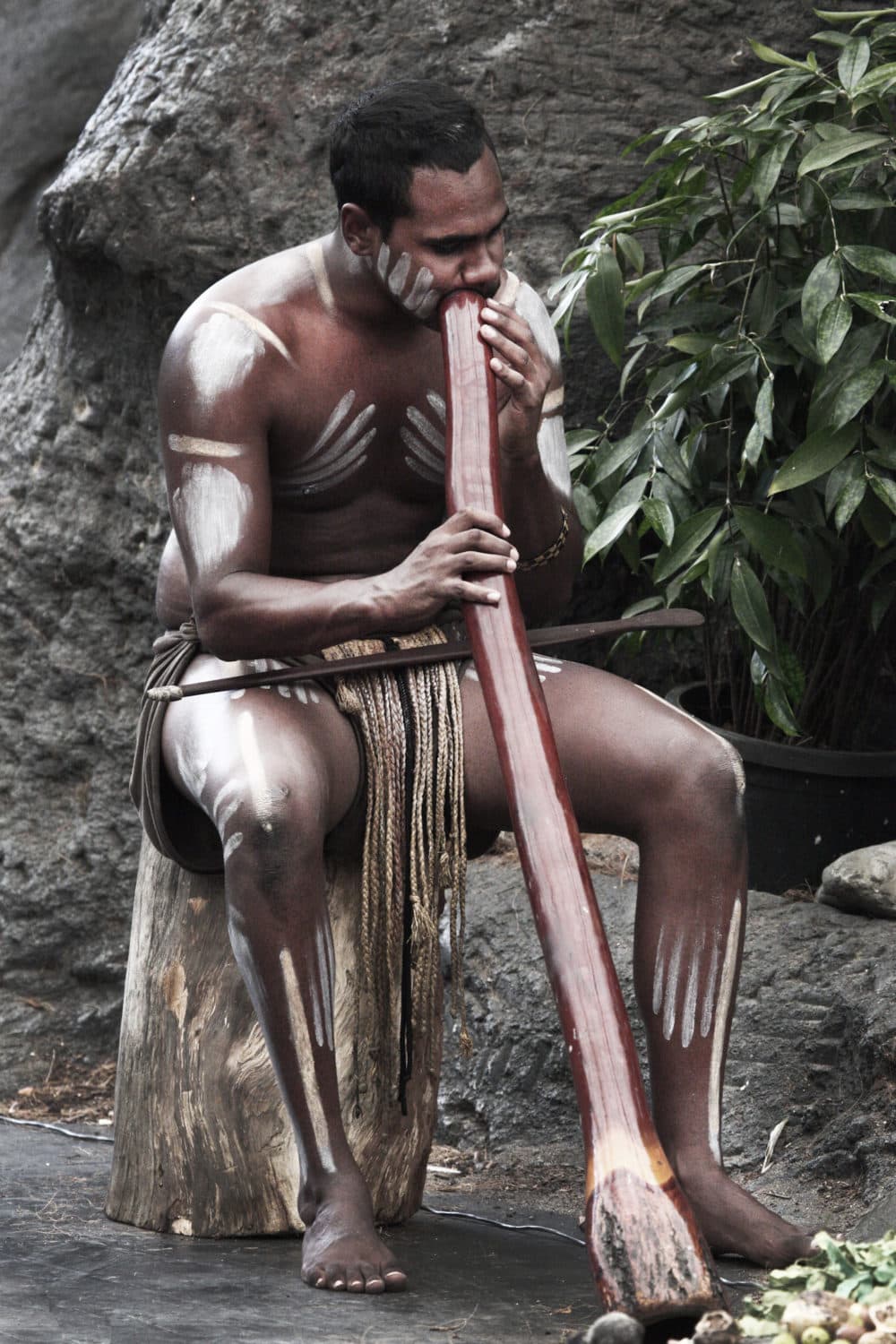 The traditional Aboriginal musical instrument, the didgeridoo, dates back tens of thousands of years. (courtesy of Steve Evans)