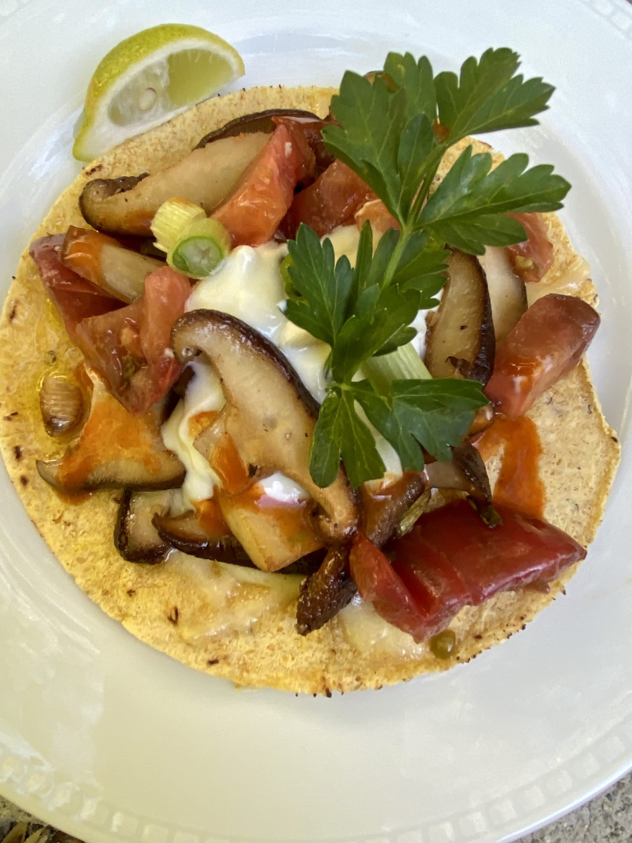 Mushroom tacos. (Kathy Gunst/Here & Now)