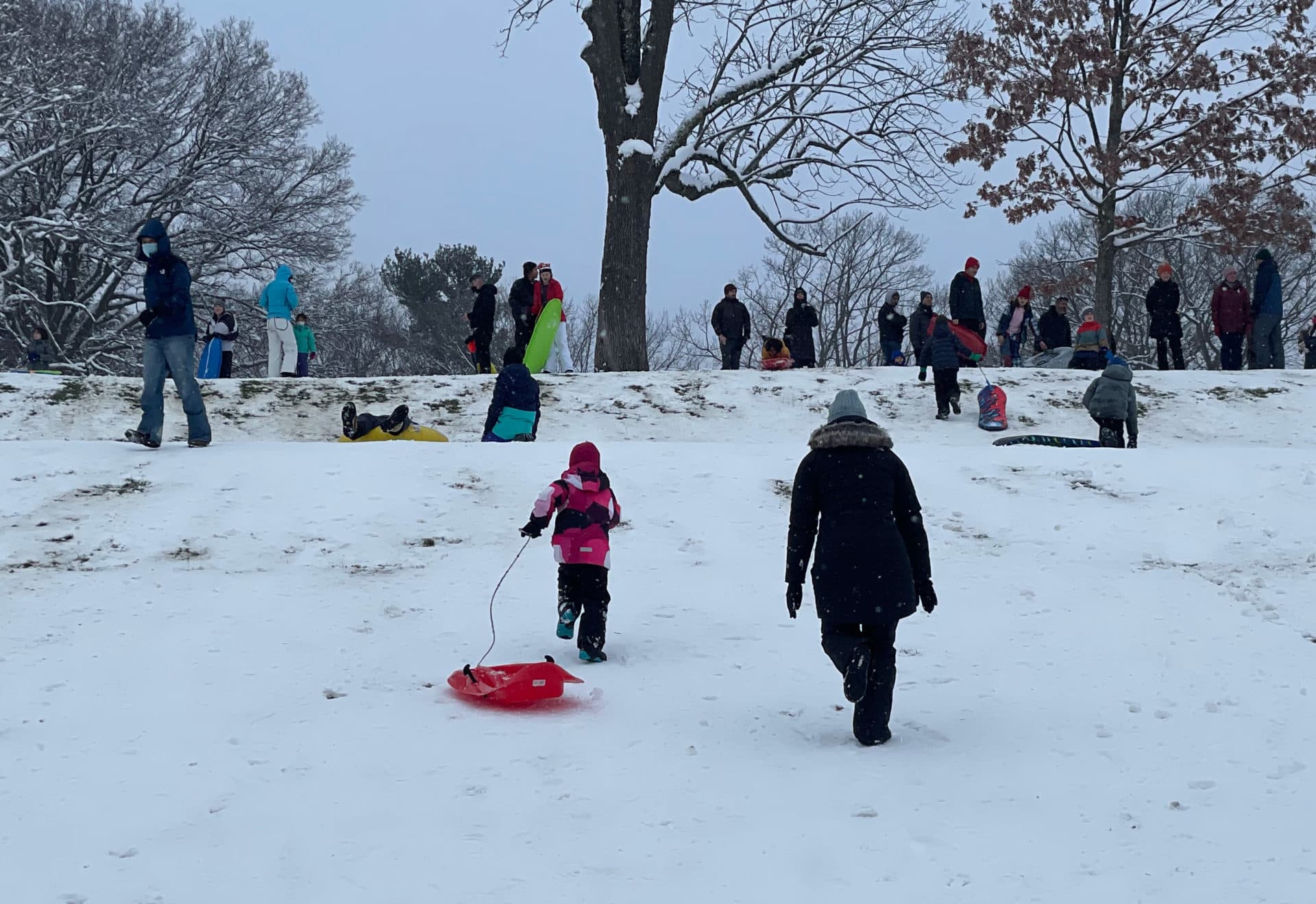 The sledders included kids of all ages — and some parents too. One parent called the scene &quot;a bit of hope&quot; after a chaotic week (Max Larkin/WBUR).