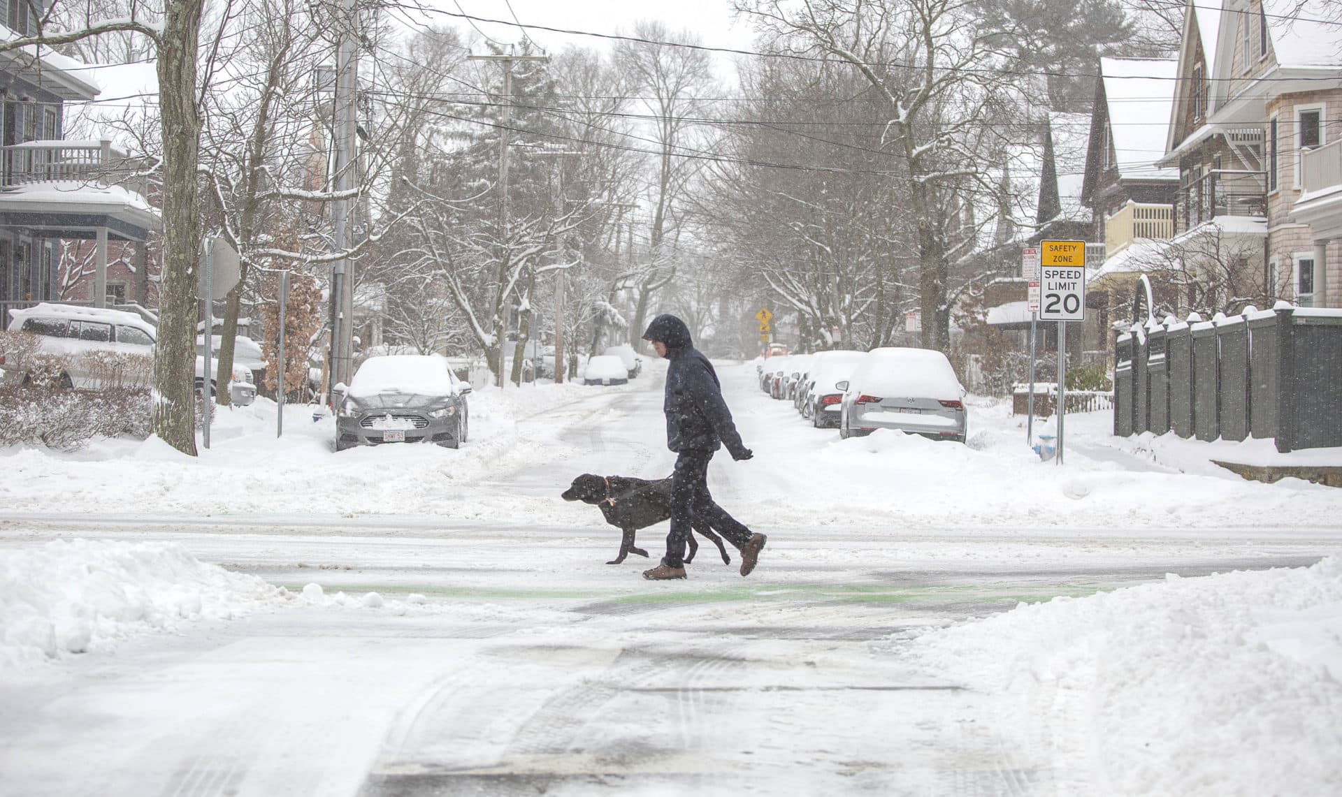 A man and dog take a snowy walk along Huron Avenue, Cambridge. (Robin Lubbock/WBUR)