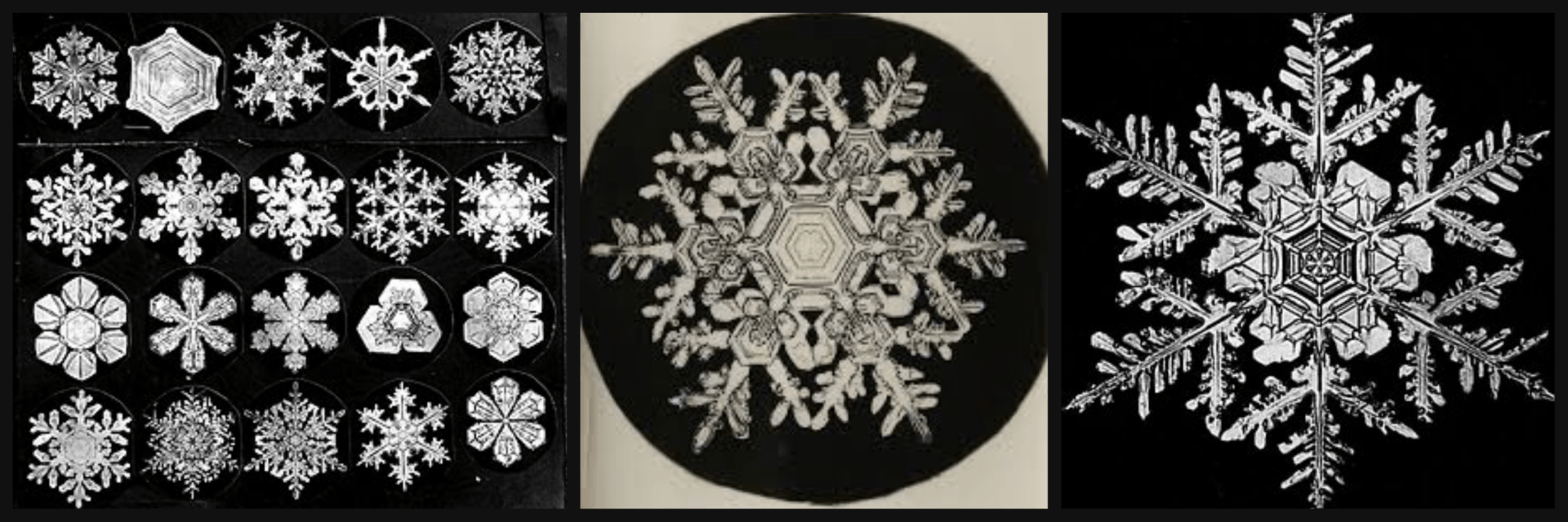 Wilson Bentley's photographs of snow crystals. (Courtesy Jericho Historical Society)