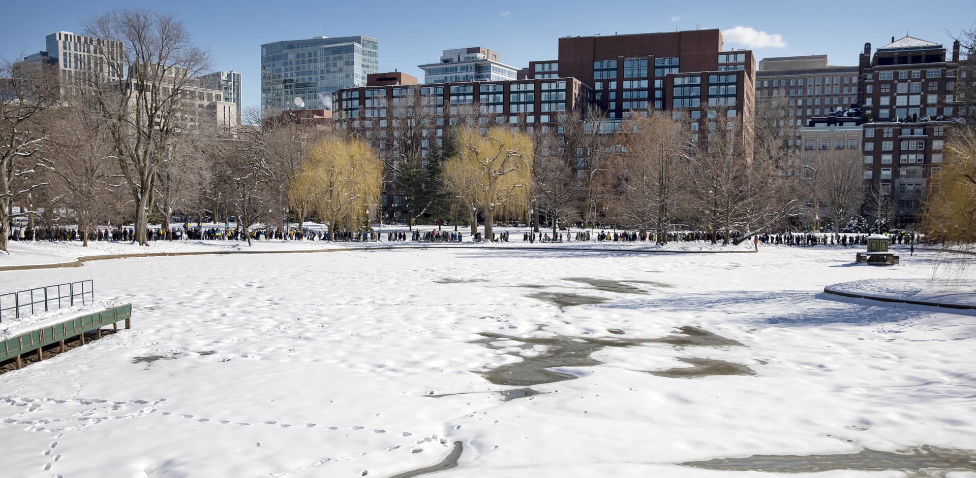 Demonstrators against the war in Ukraine walk past the swan pond on their way from the Public Garden to the Massachusetts State House. (Robin Lubbock/WBUR)